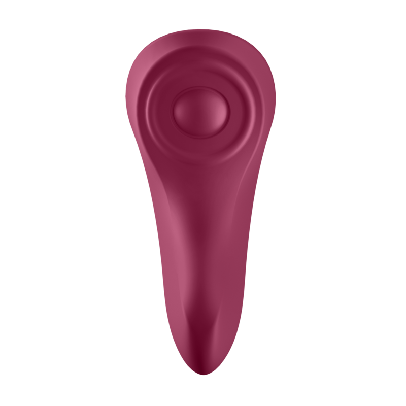 SATISFYER SEXY SECRET PANTY - Imagen 6